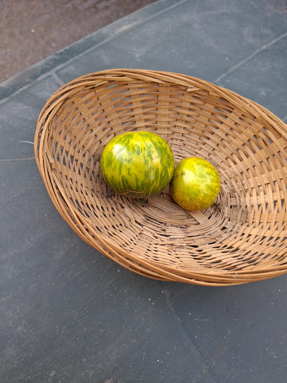 Moestuin Zaden