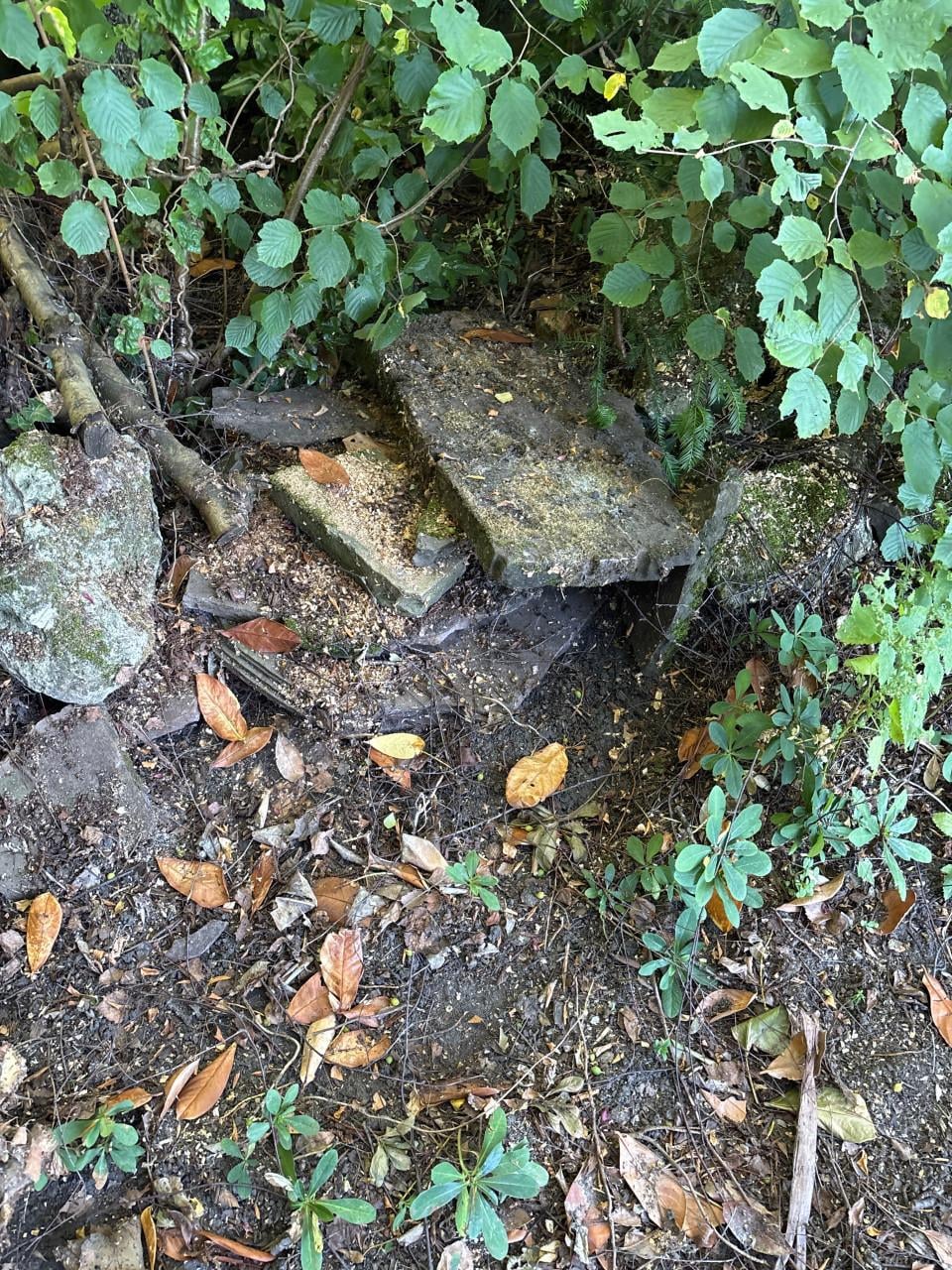 Flagstones stapstenen