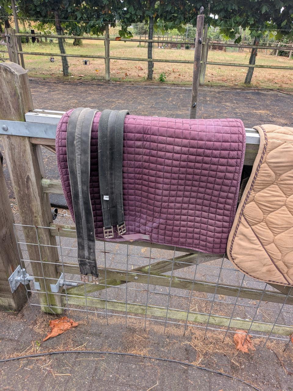 Paarden spullen singels, dekjes