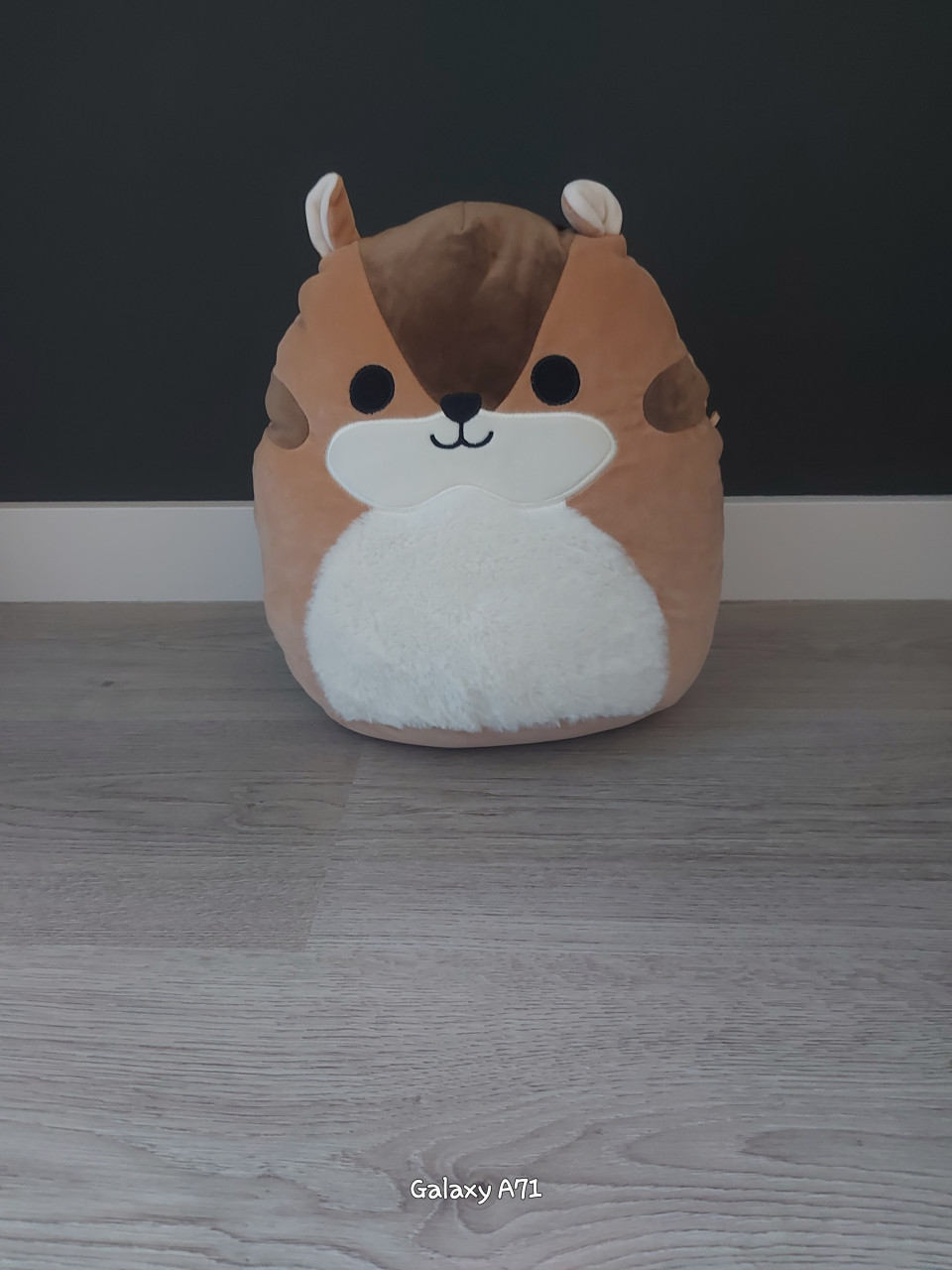 Squishmallows medium size