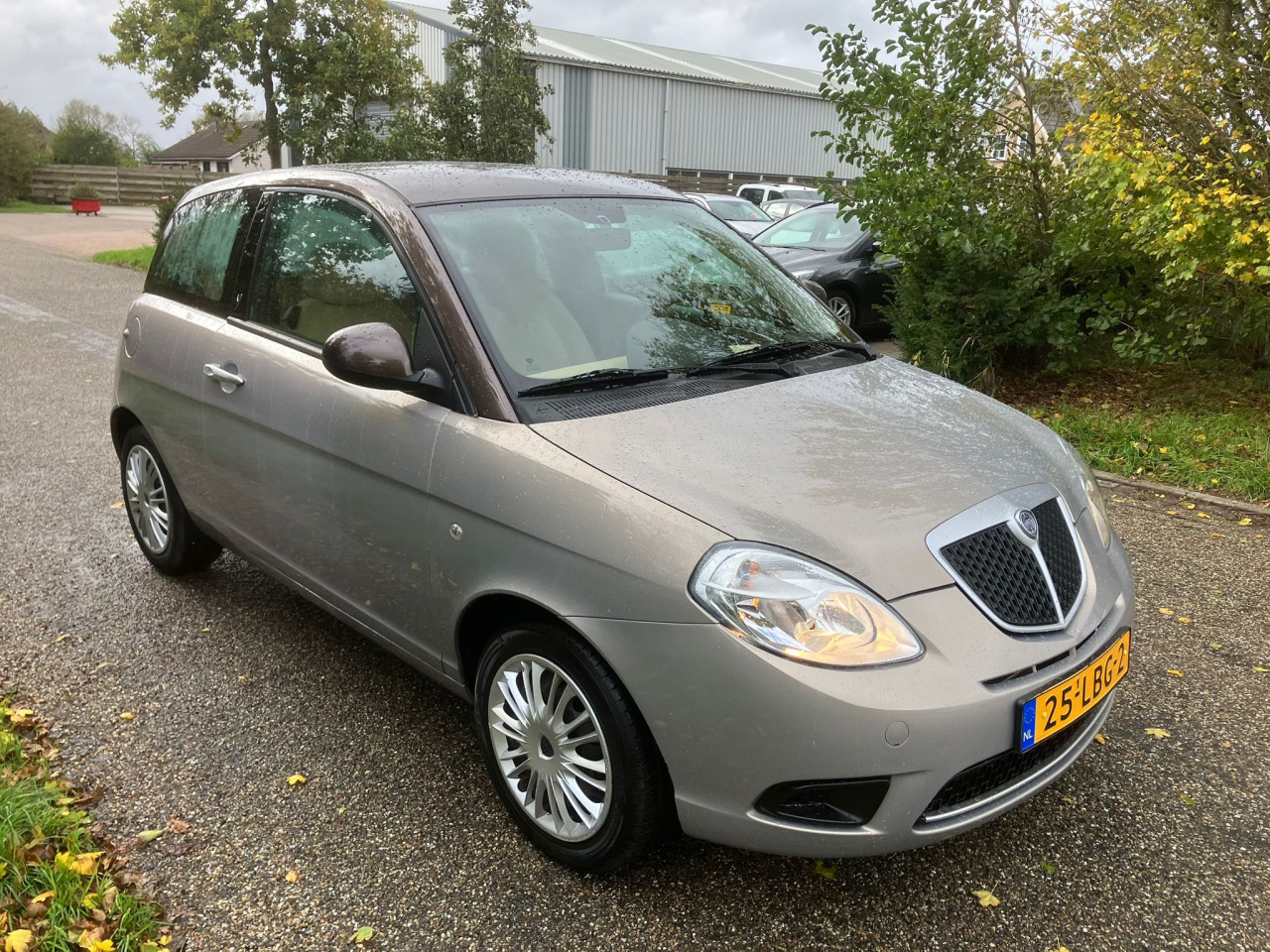 Lancia Ypsilon 1.4