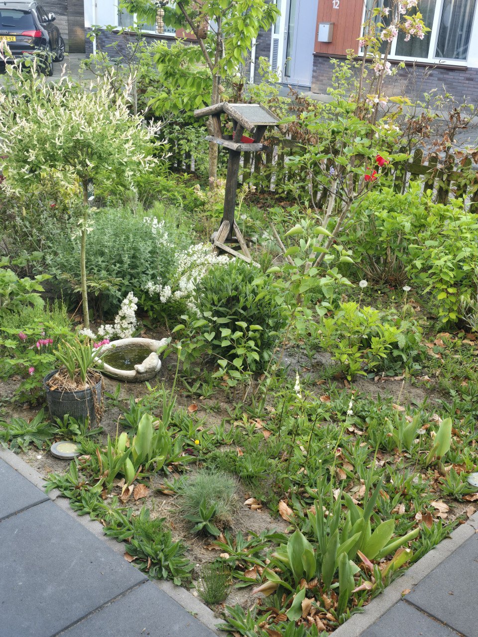 GEZOCHT in Goes Hulp voor de tuin!!