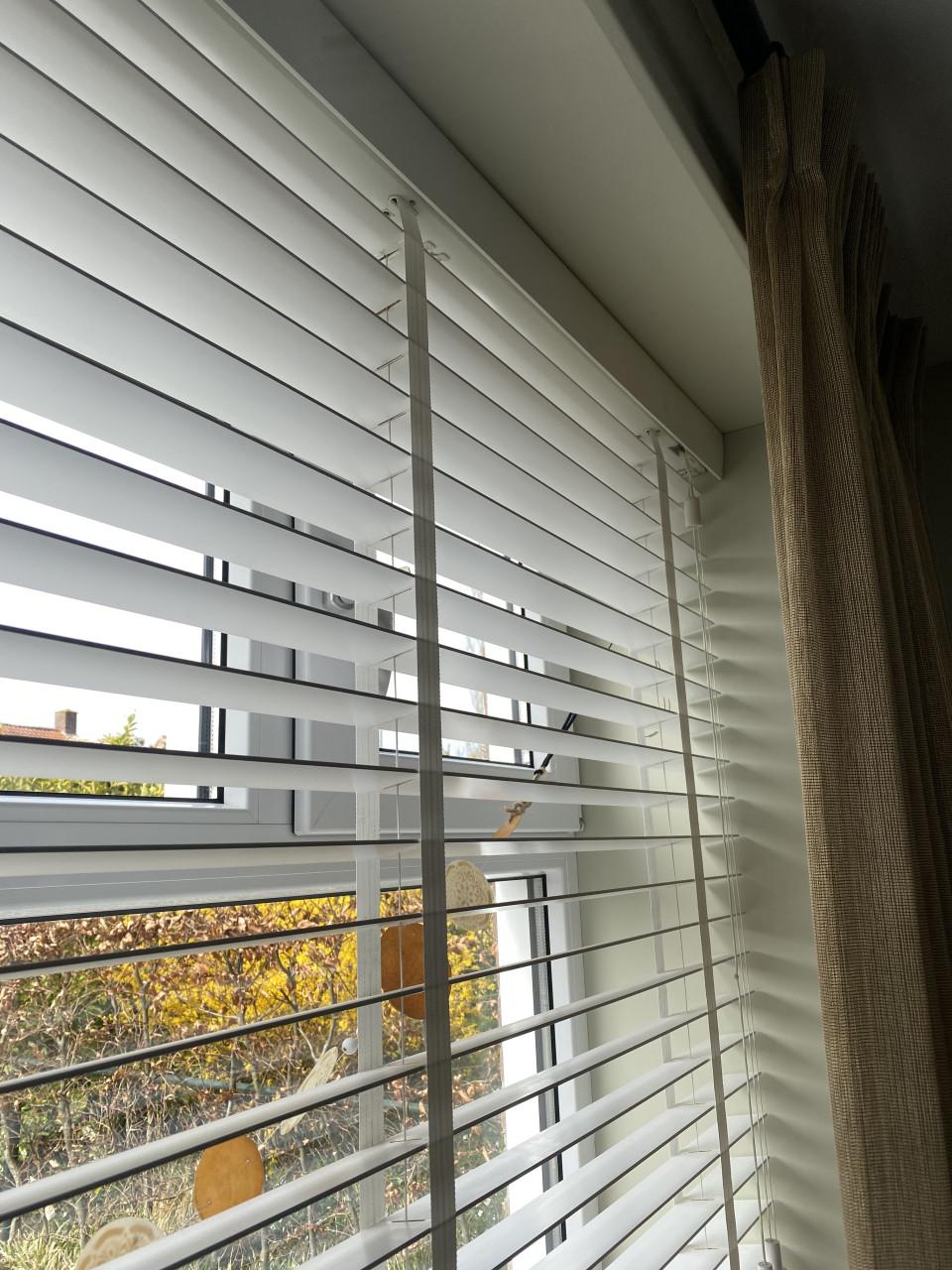 Zware witte JALOEZIEËN