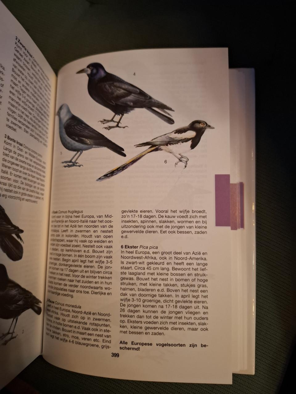 De grote Rebo natuurgids, door Jan Toman / Jiri Felix