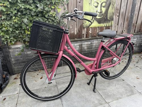 Dames Fiets 49cm frame