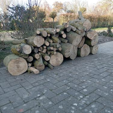 Te koop mooie partij openhaard hout, zwaar hout . Ruim 1 kuub.