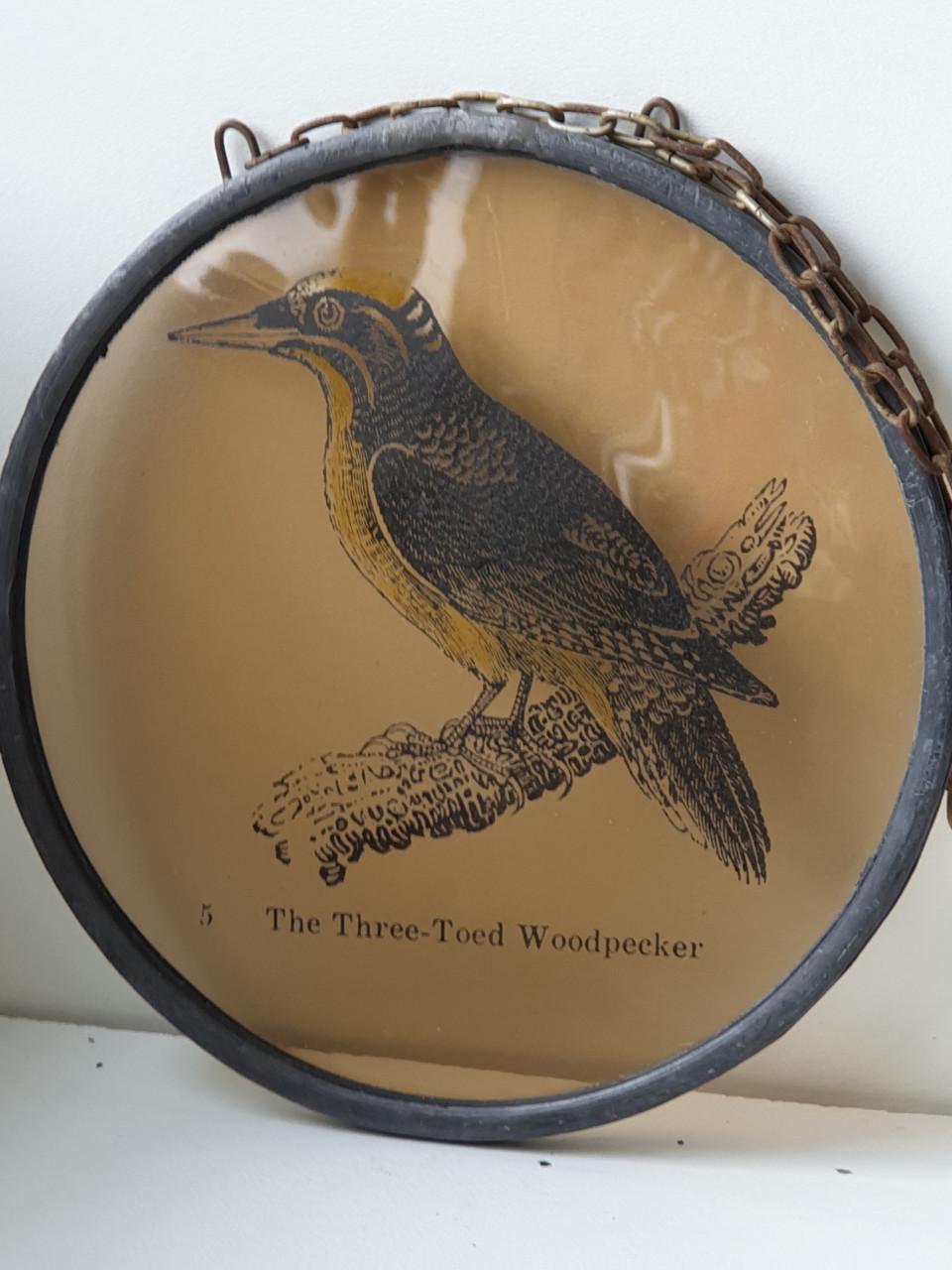 Raamhanger glas in lood Specht