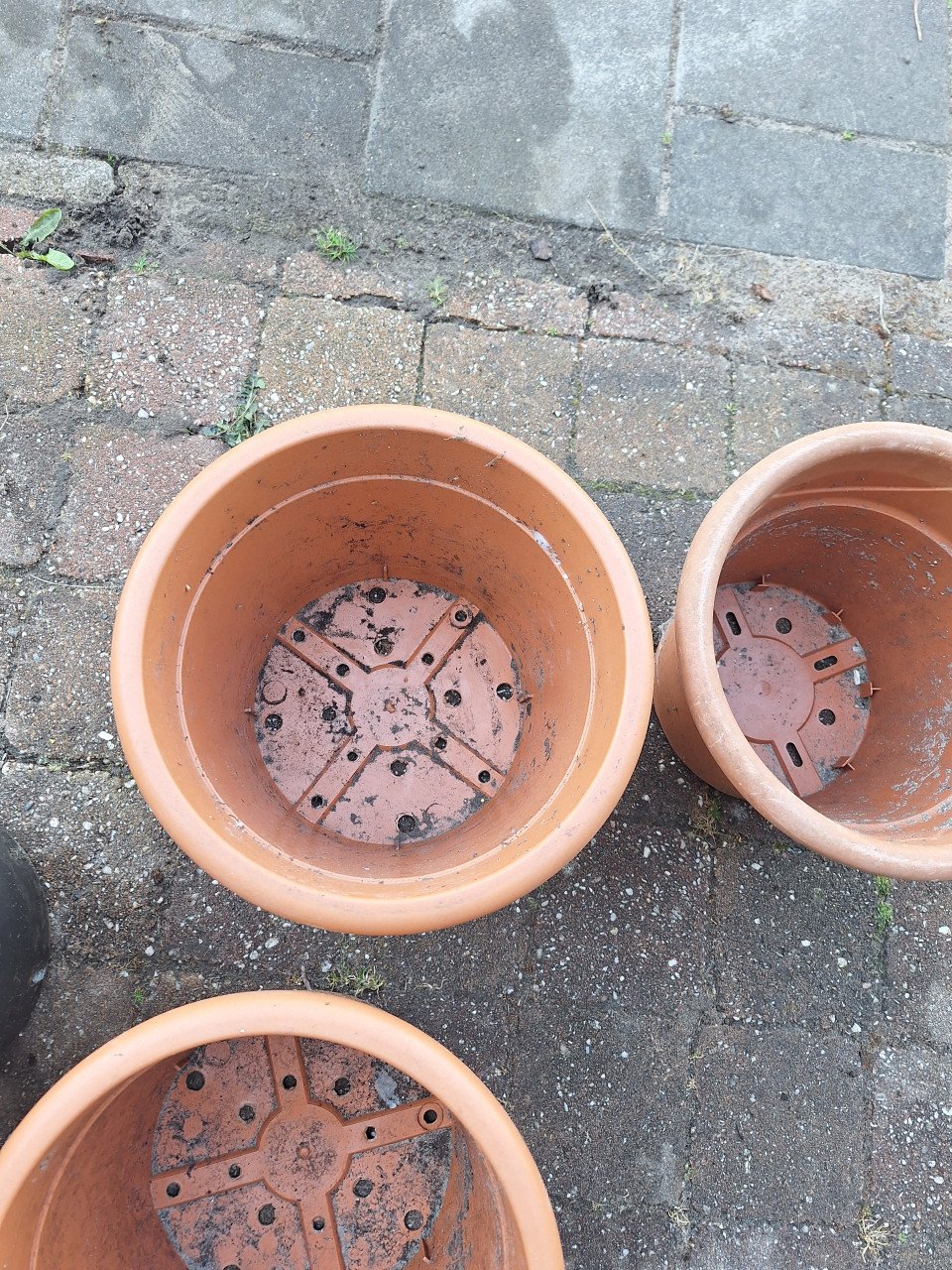 Bloempotten