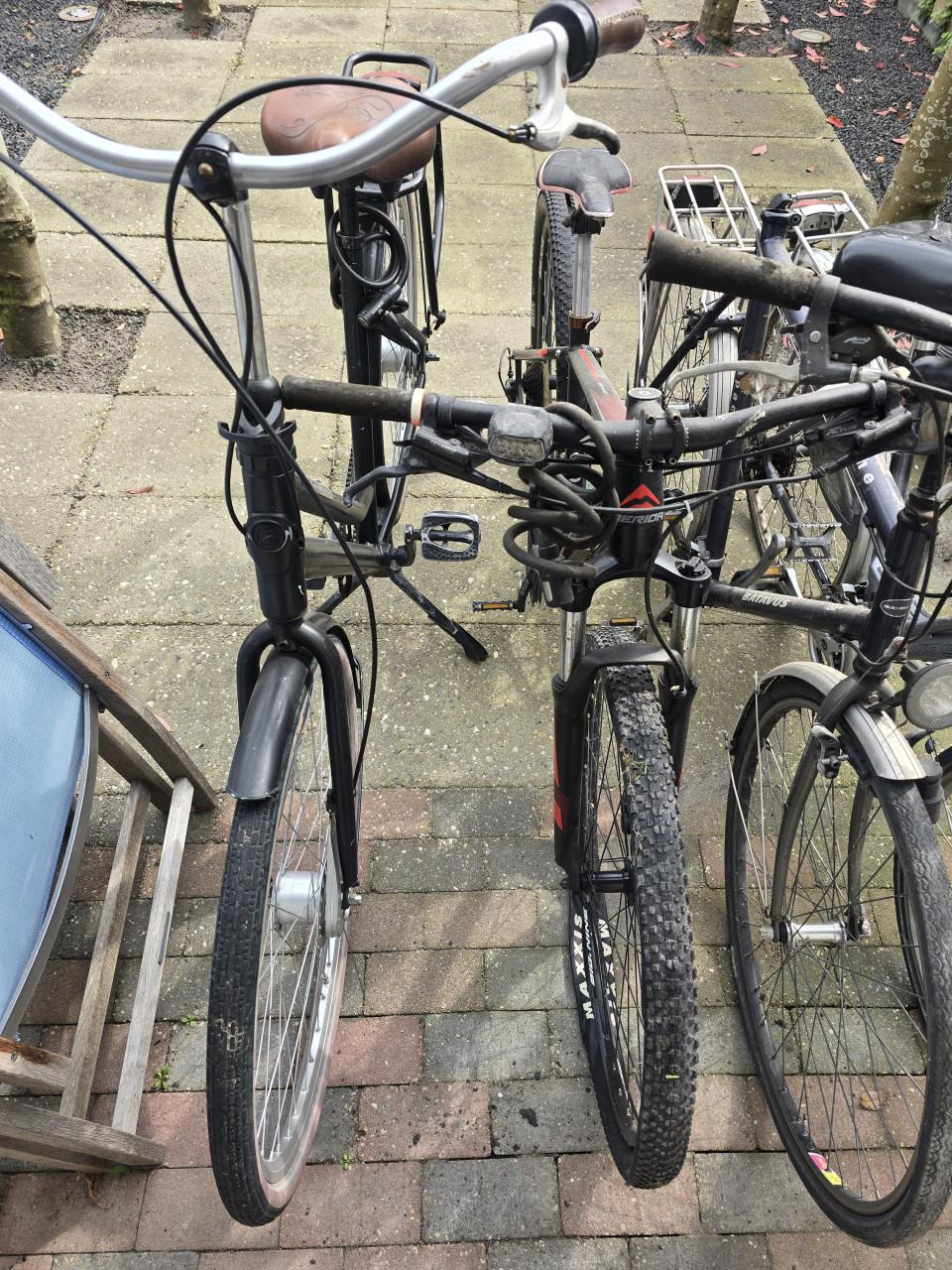 Fietsen Koga, Merida, Batavus, Gazelle