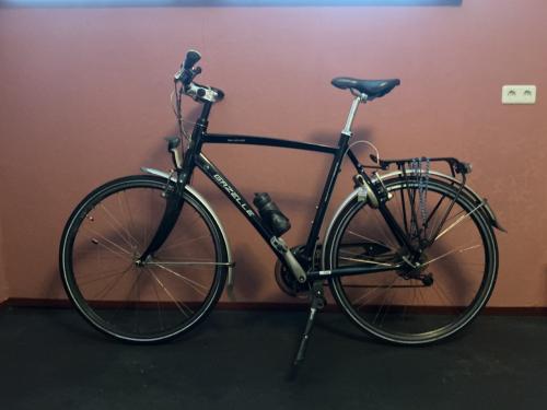 Gazelle Riacho sportieve heren fiets