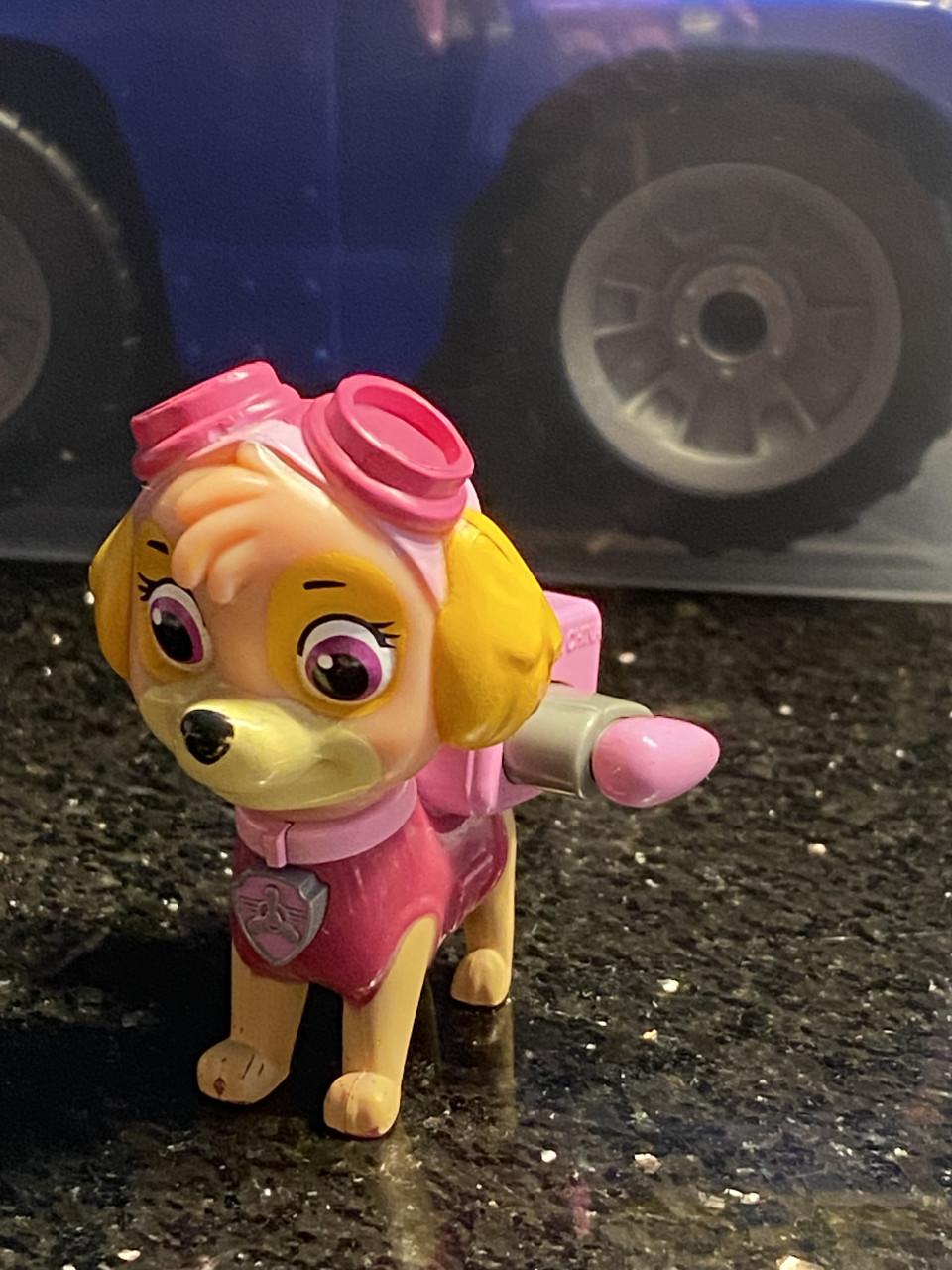 Paw Patrol poppetjes