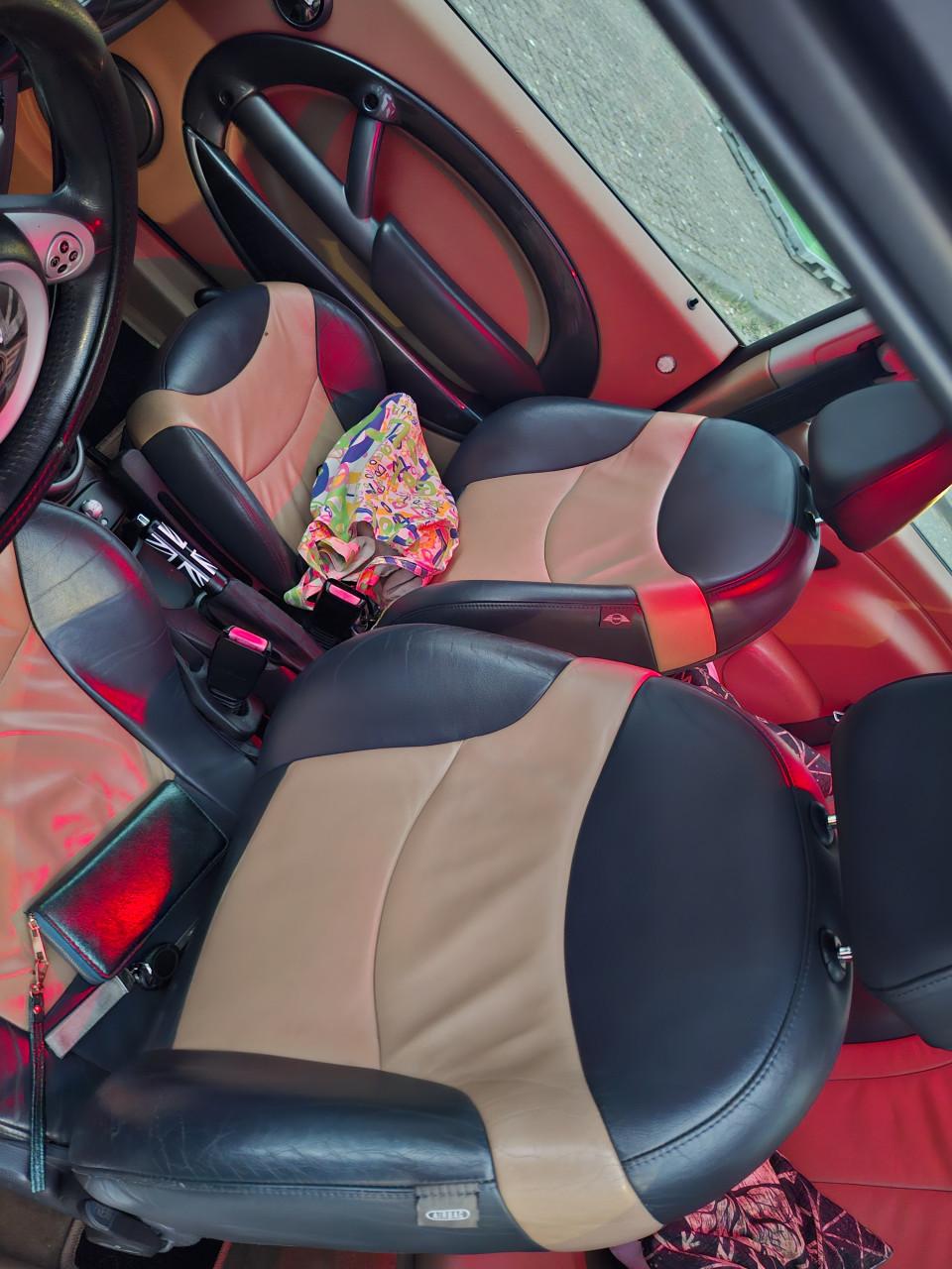 Liefhebbersproject: Mini Cooper S R53 2004