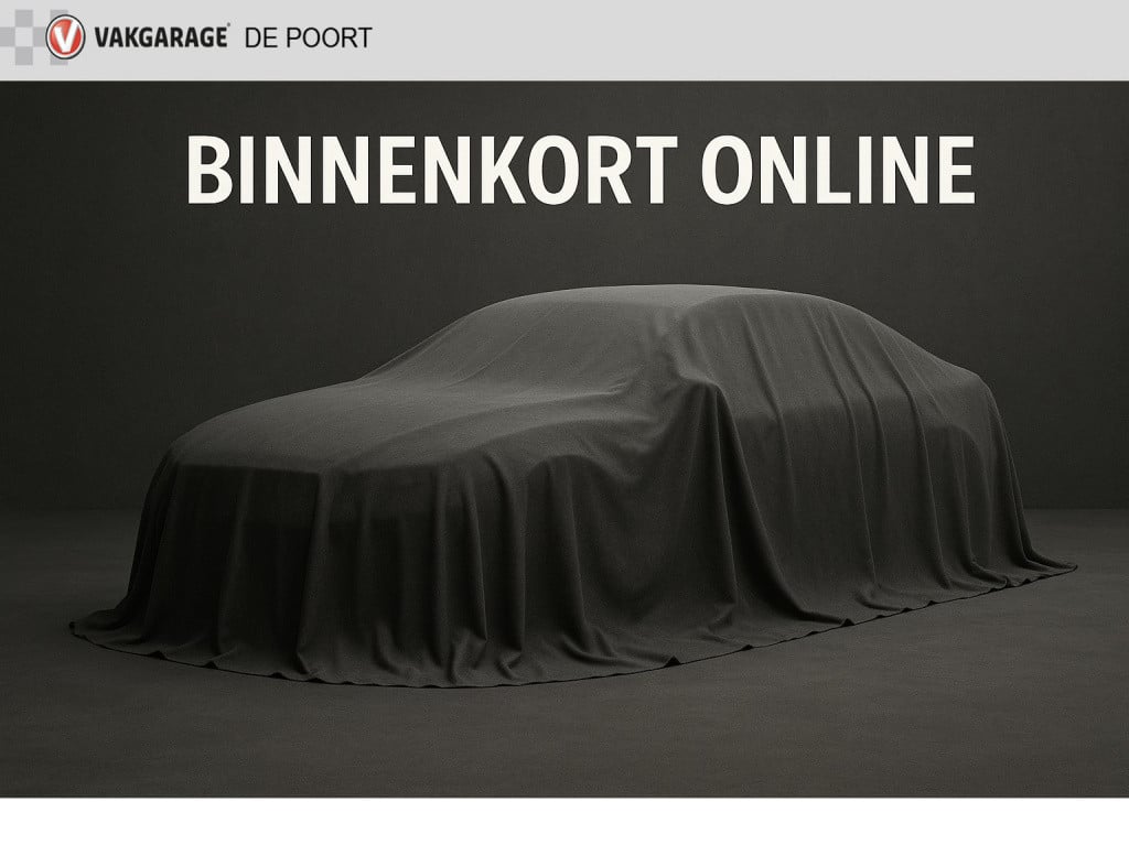 Skoda Fabia 1.0 tsi ambition | nl-auto | 1e eig | navi | airco | cruisec. |