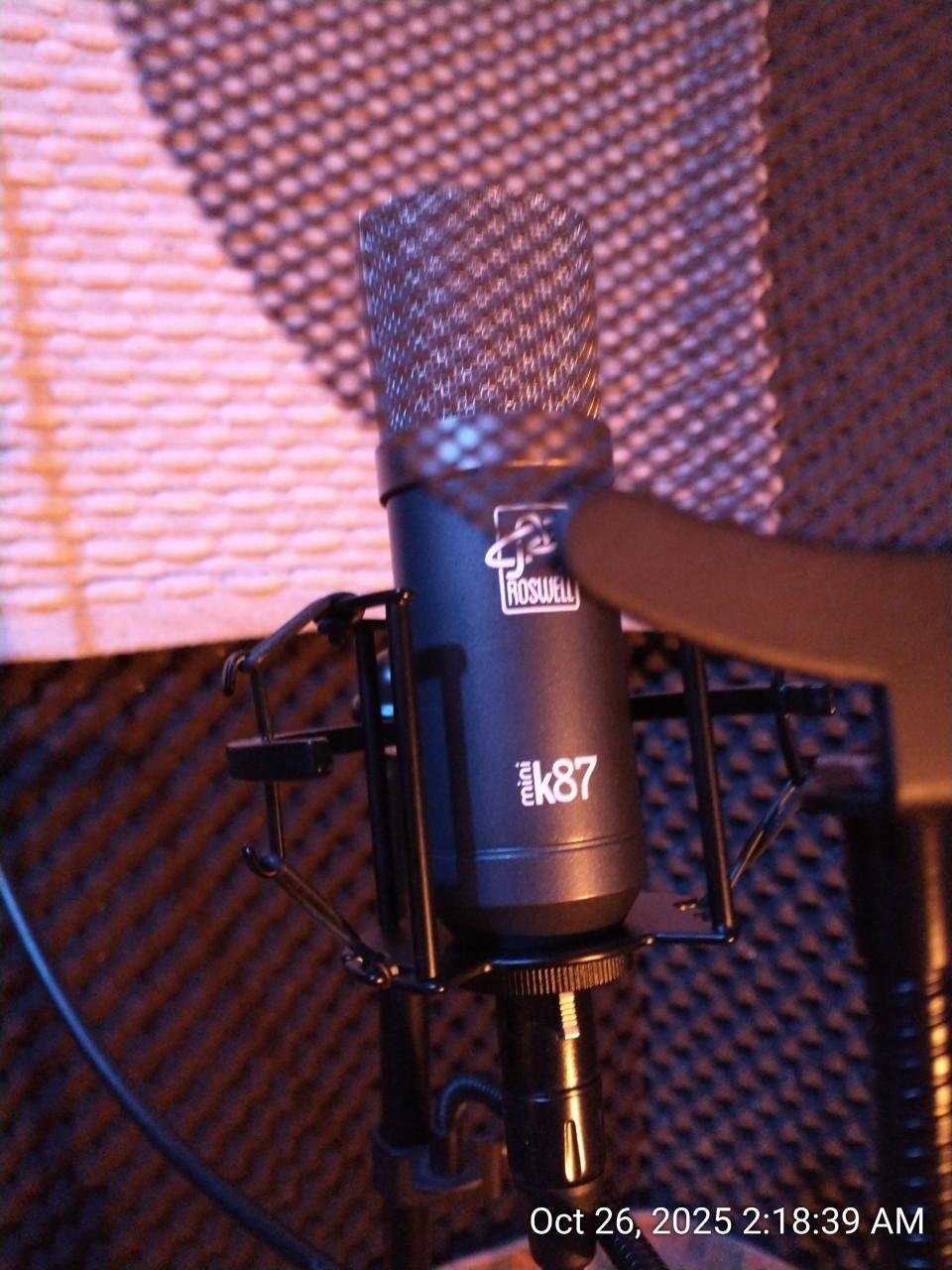 Professioneel een song opnemen maar heb je een klein budget?