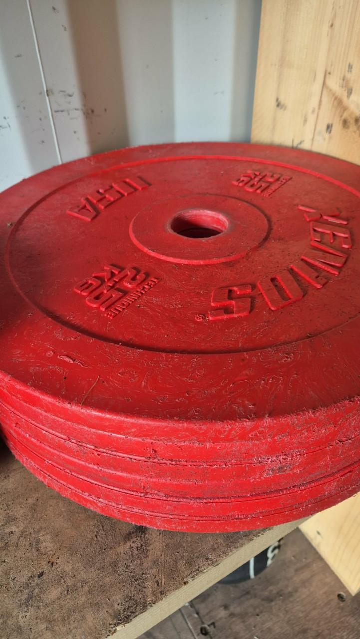 Schijven 2,5 kg en 1,25 kg