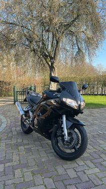 SUZUKI SV 650 S