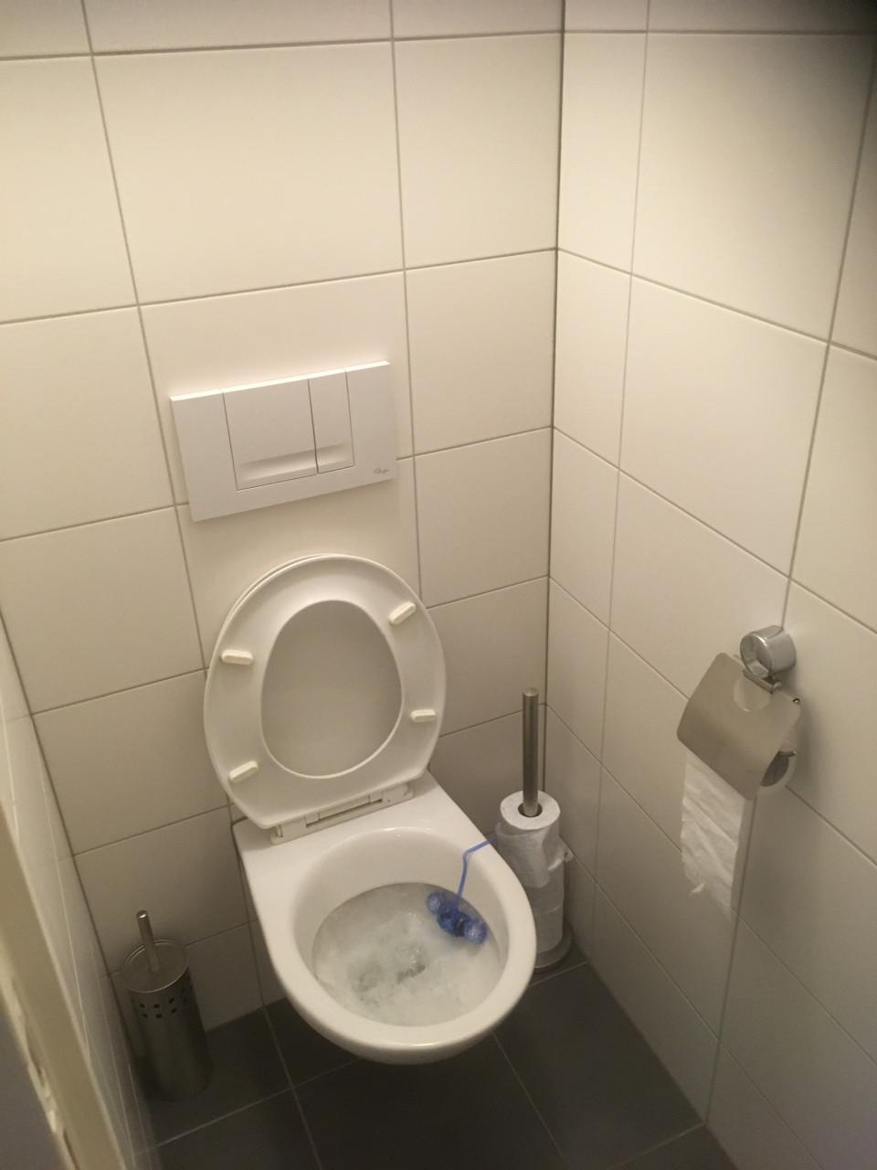 For rent: studentenkamers in Vlissingen