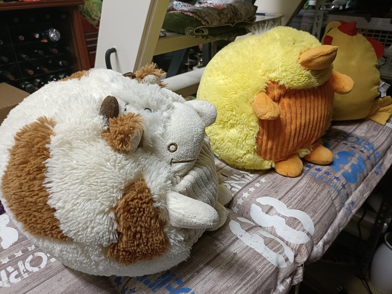 Kussen of knuffel