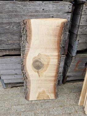 Mooi stuk boomstamplank