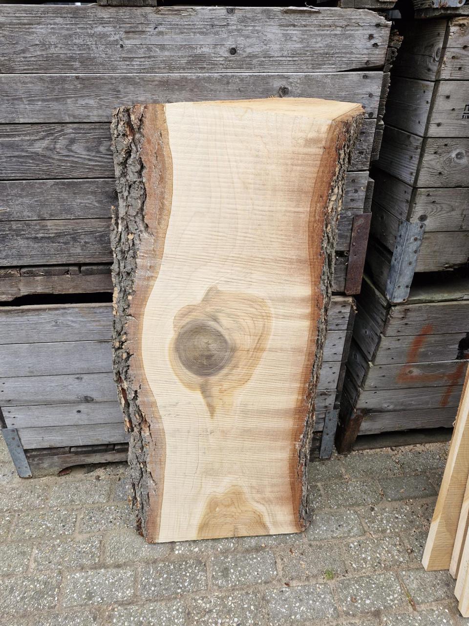 Mooi stuk boomstamplank