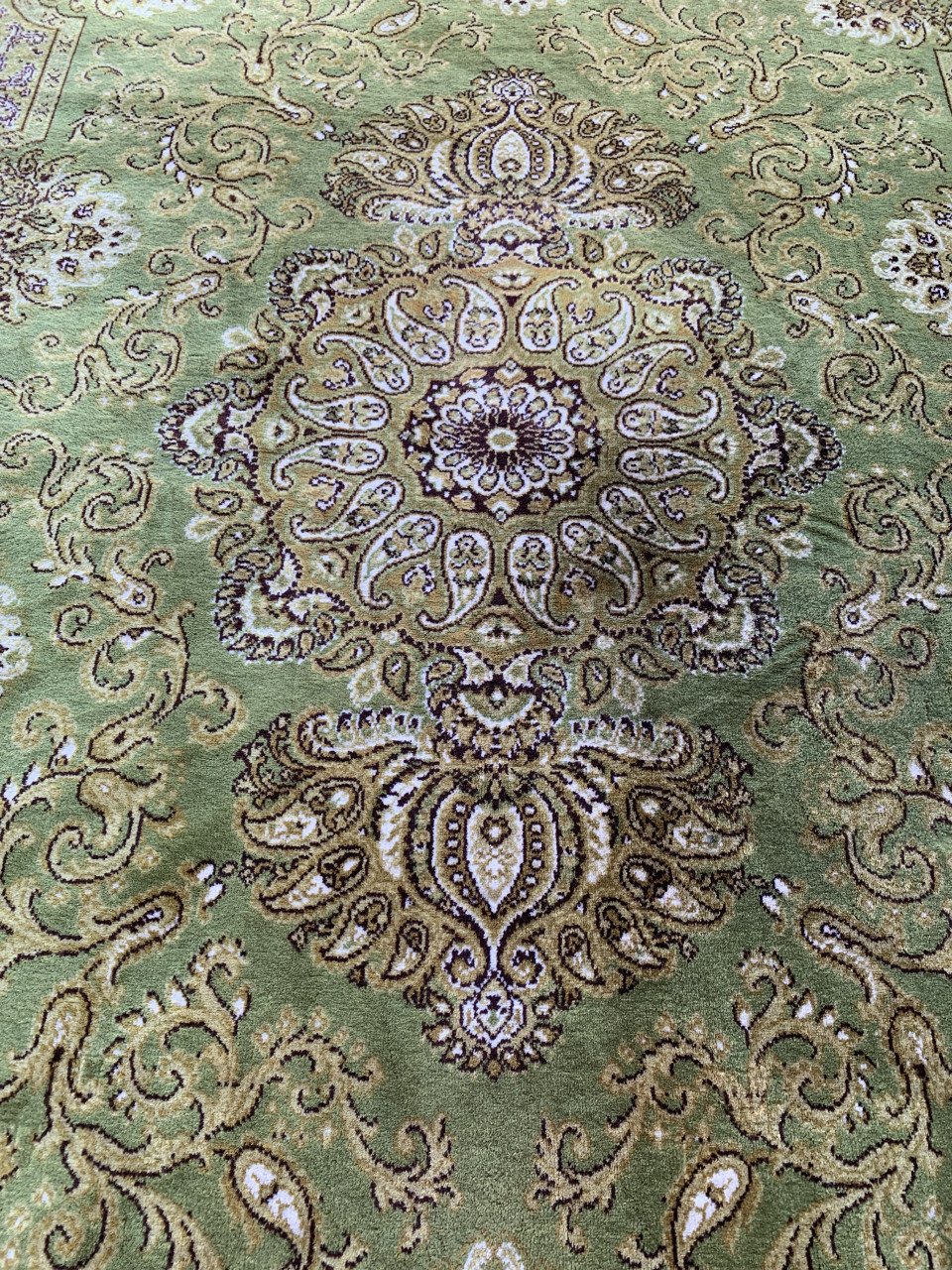 ✨Super Leuk Groen Vintage Vloerkleed Zuiver Scheerwol✨