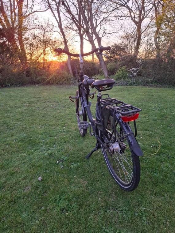 Gazelle Bloom moederfiets 53" - extra zitje voor (TEAB)