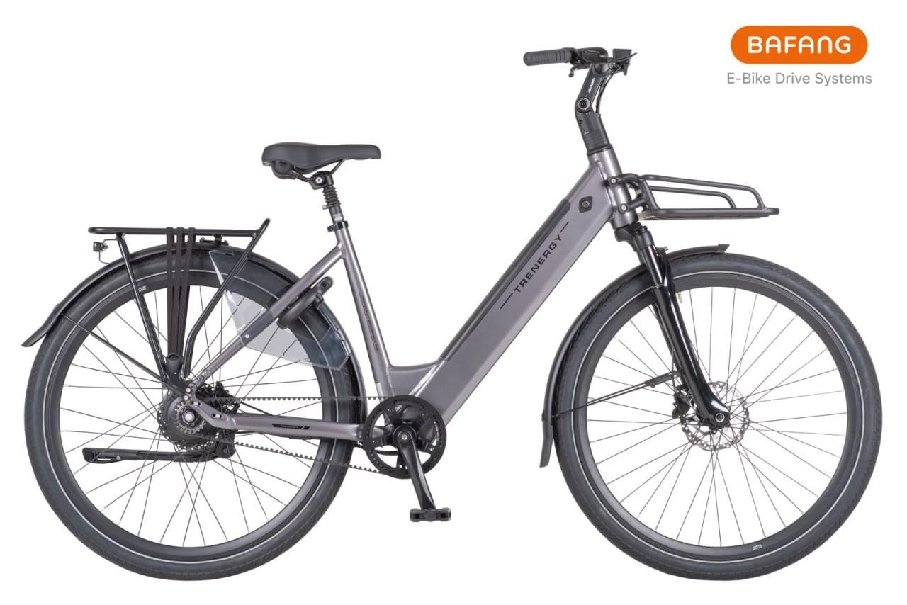 Nieuwe Trenergy 2027 Endurance Pro E-Bike 54cm RIEM Bafang H700 2Sp 540Wh