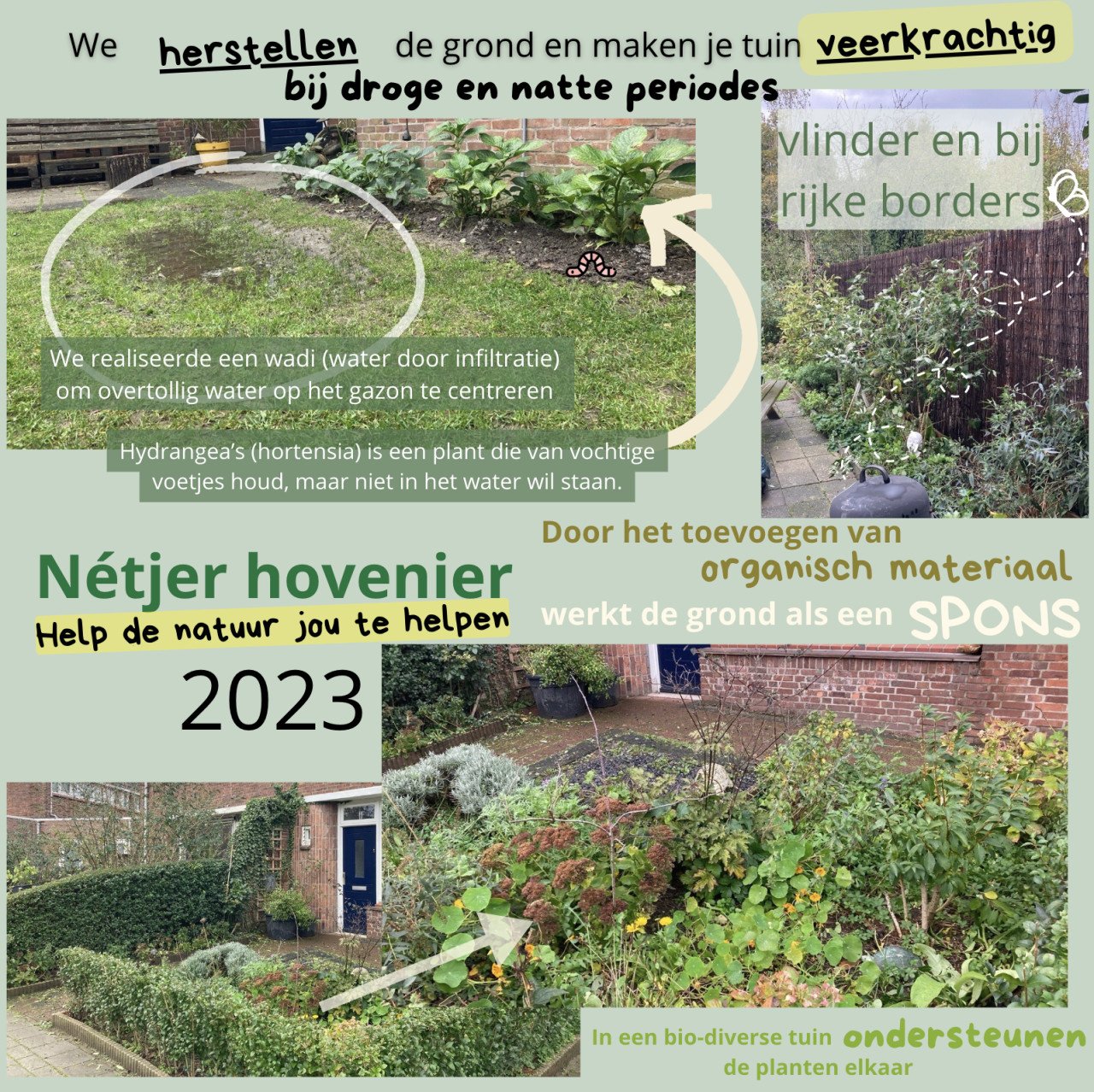 Nétjer Hovenier