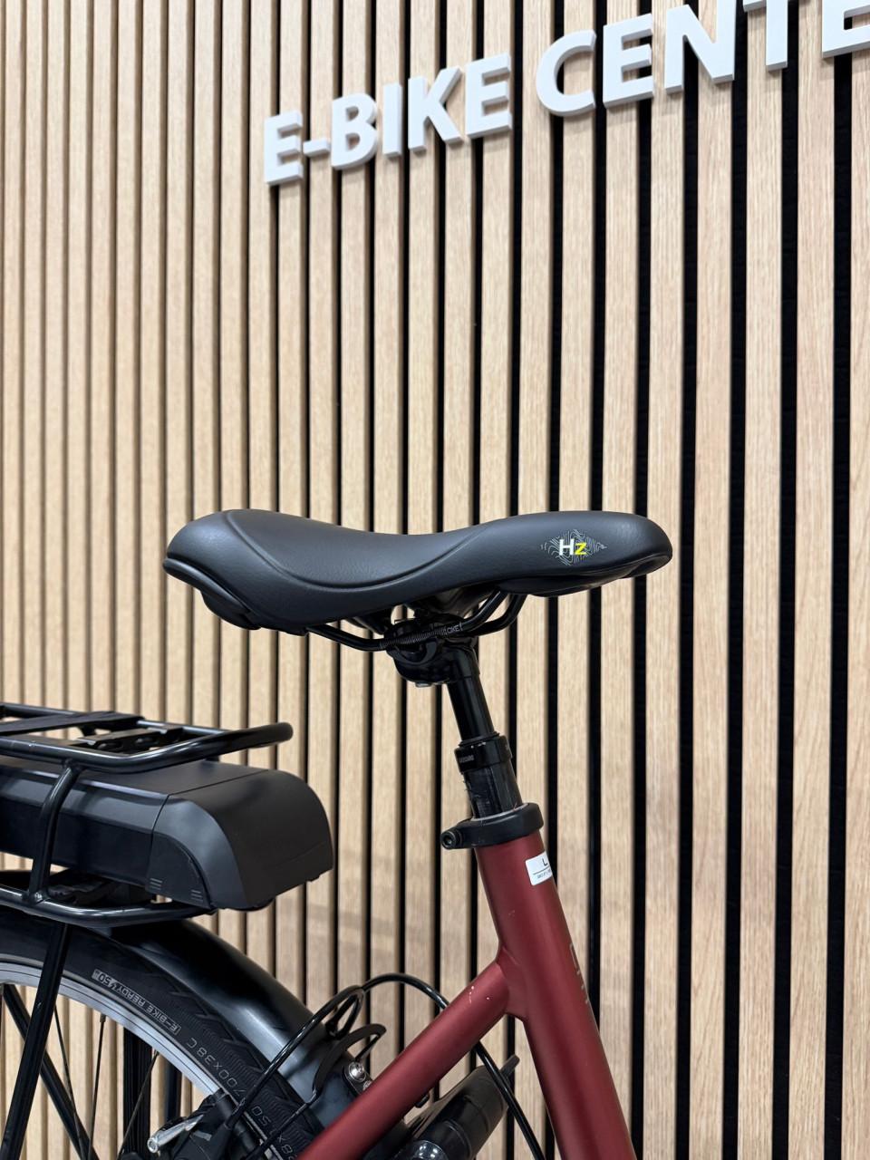 Trek LM2+ Bosch Active Line Plus 55CM 400Wh 7973KM