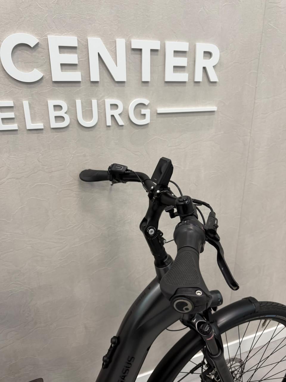 Pegasus Premio EVO Bosch Performance CX 55CM 81KM 750Wh