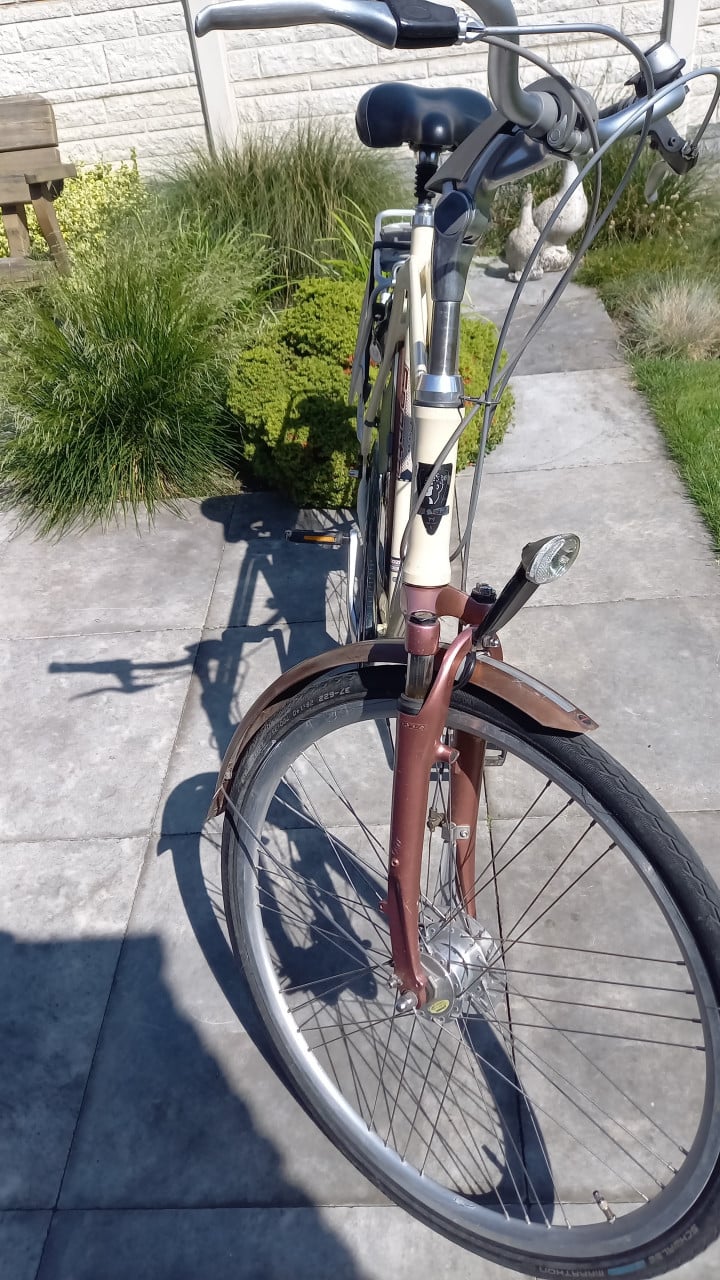 Hoge sparta 65 cm