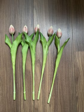 Neptulpen wit-roze kort