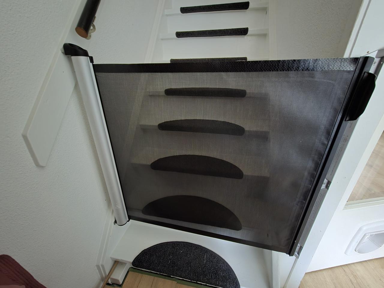 Lascal kiddy guard accent traphek