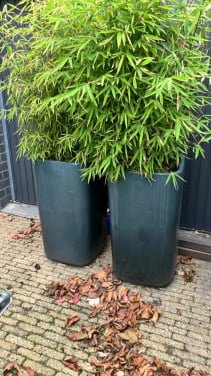 Planten zuil geglazuurd, twee stuks grijs