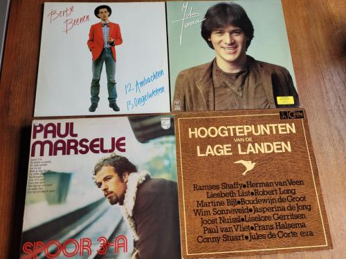 10 Nederlandstalige LP's in goede staat!