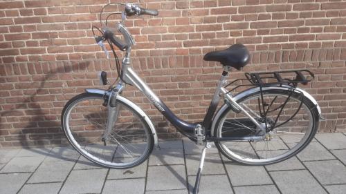 Trenergy damesfiets