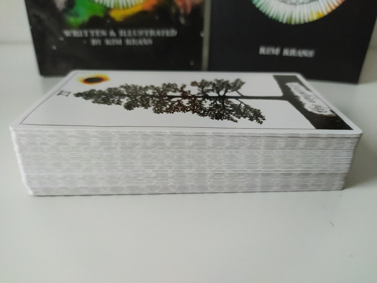 The wild unknown Tarot van Kim Krans