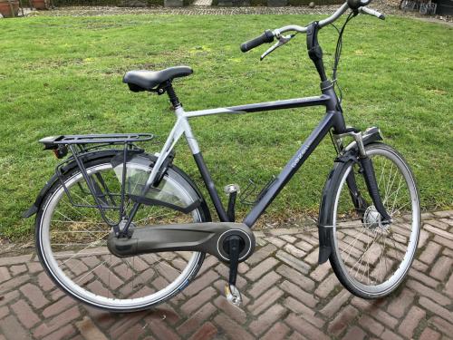 Gazelle eclipse 28 ''