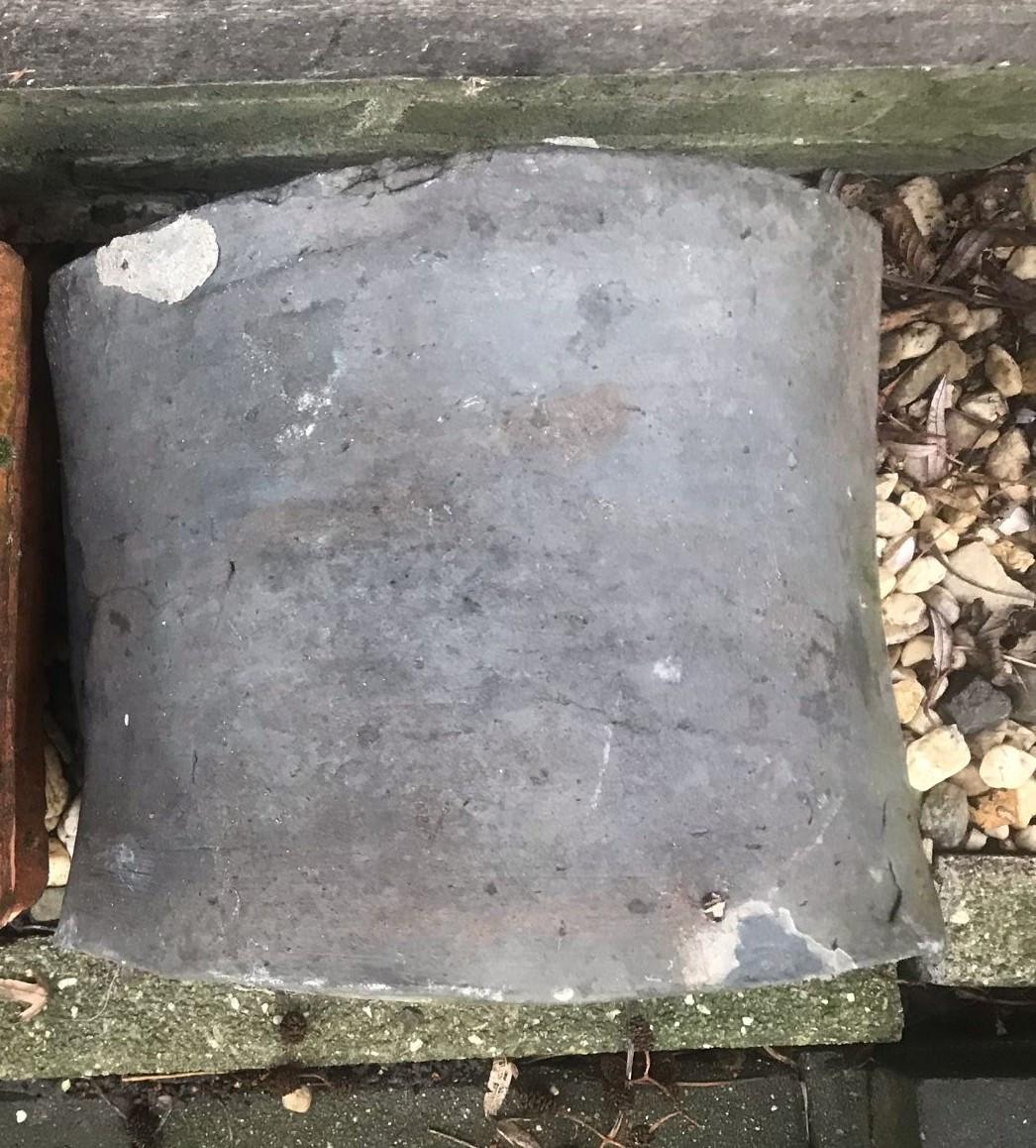 Nokvorsten (diverse types)