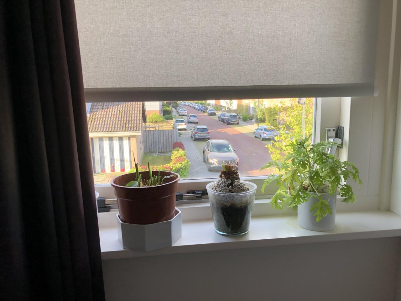 Te koop goed rolgordijntje.