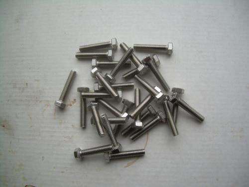 Tapbouten M5 x 25 mm rvs a4