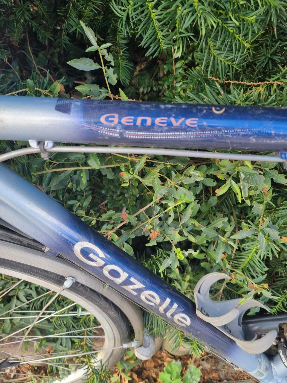 3 x Herenfiets *** BATAVUS - Kayenta *** & GIANT hoge.! & GAZELLE