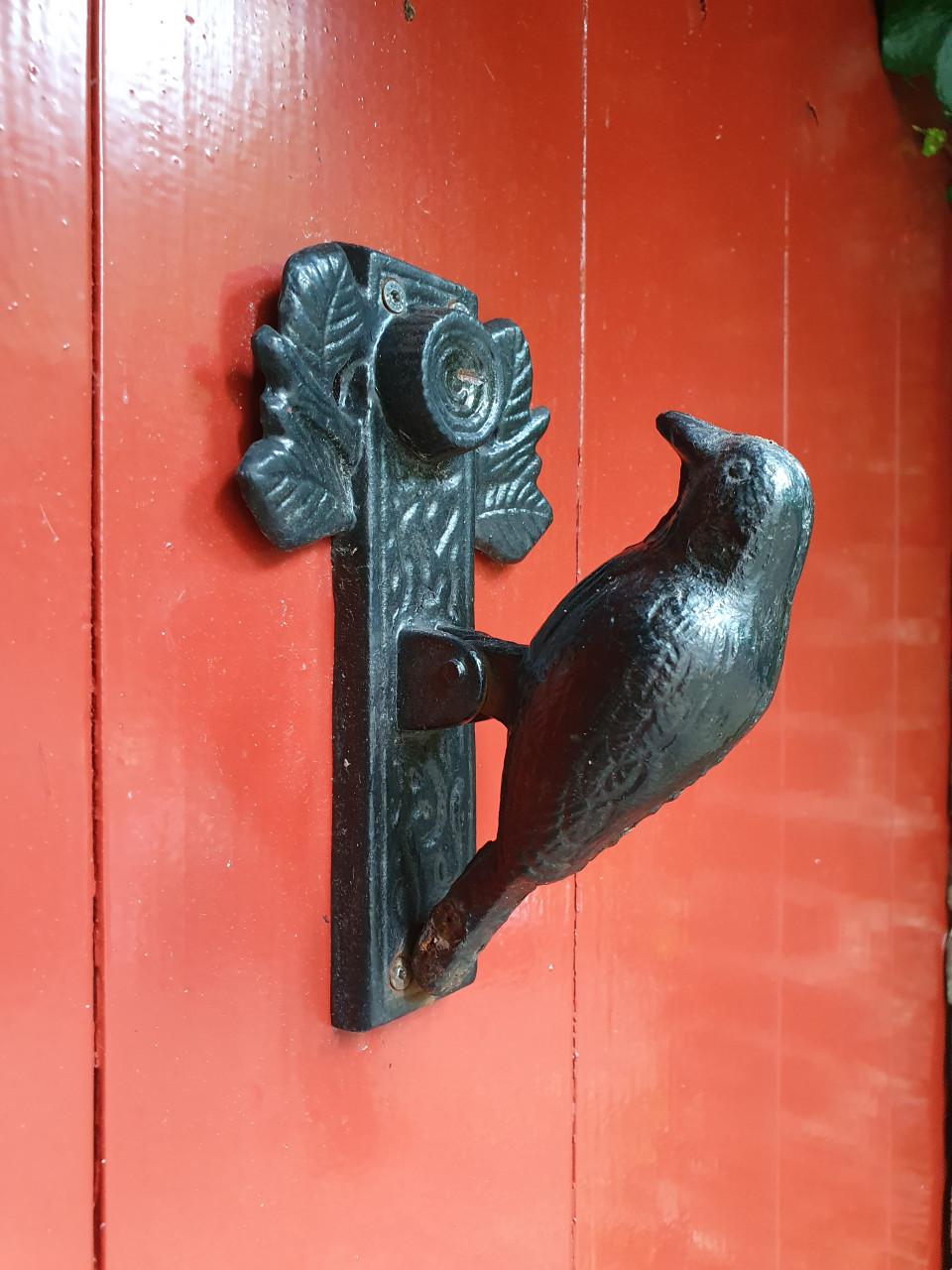 Fotoworkshop (groot) ouder en kind