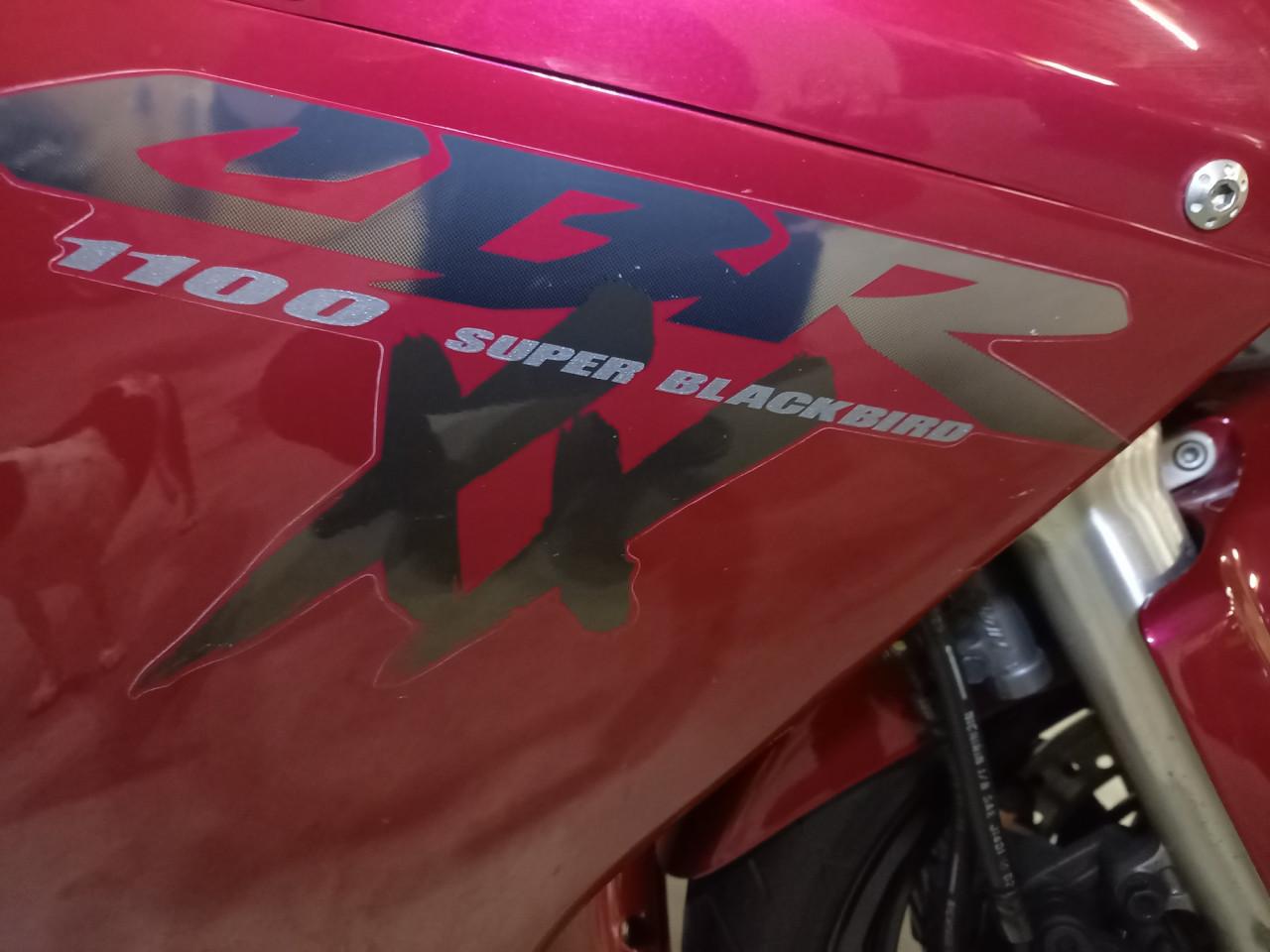 Honda cbr 1100 XX Blackbird