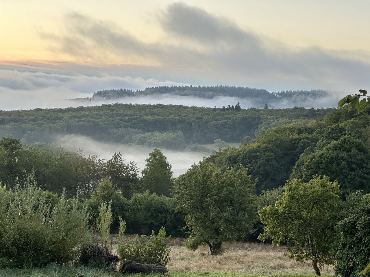Vakantiehuis te huur in Frankrijk 🇫🇷 in de Morvan