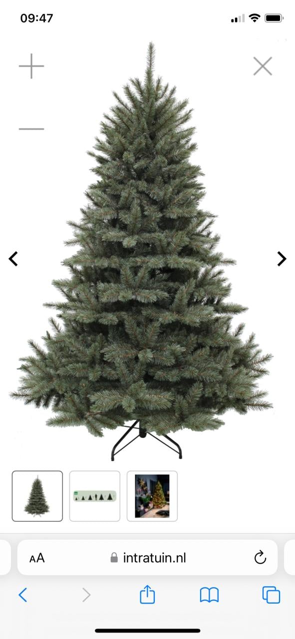 Kerstboom 1.85 m hoog Intratuin 1 jaar oud!