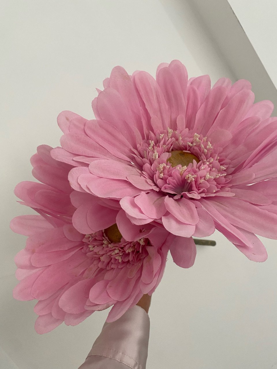 Bloemen 2 stuks