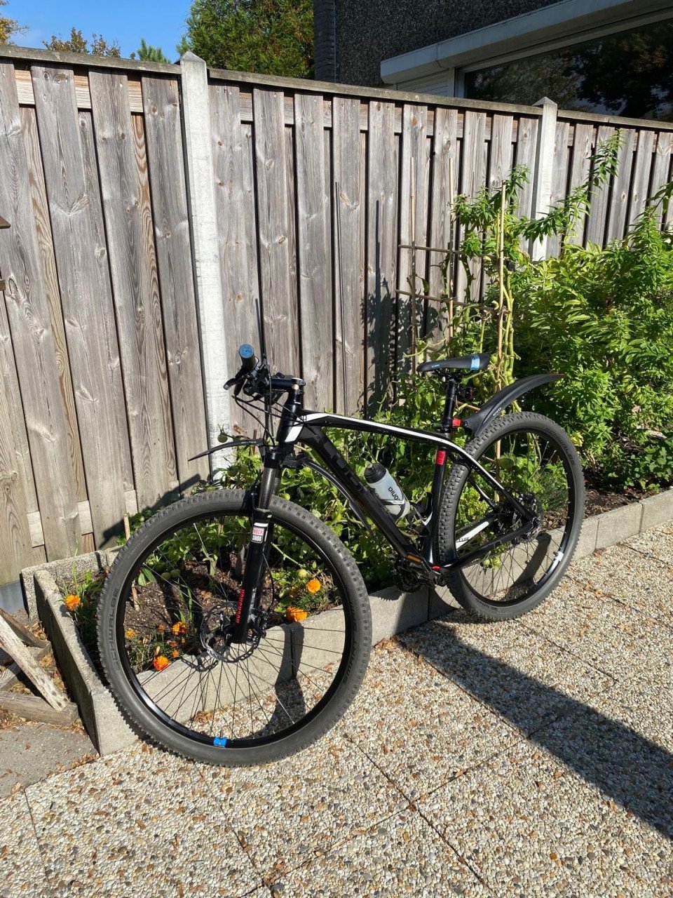 CUBE Carbon 29” MTB