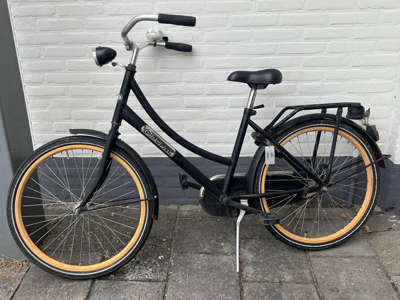 Leuke popal Meiden fiets
