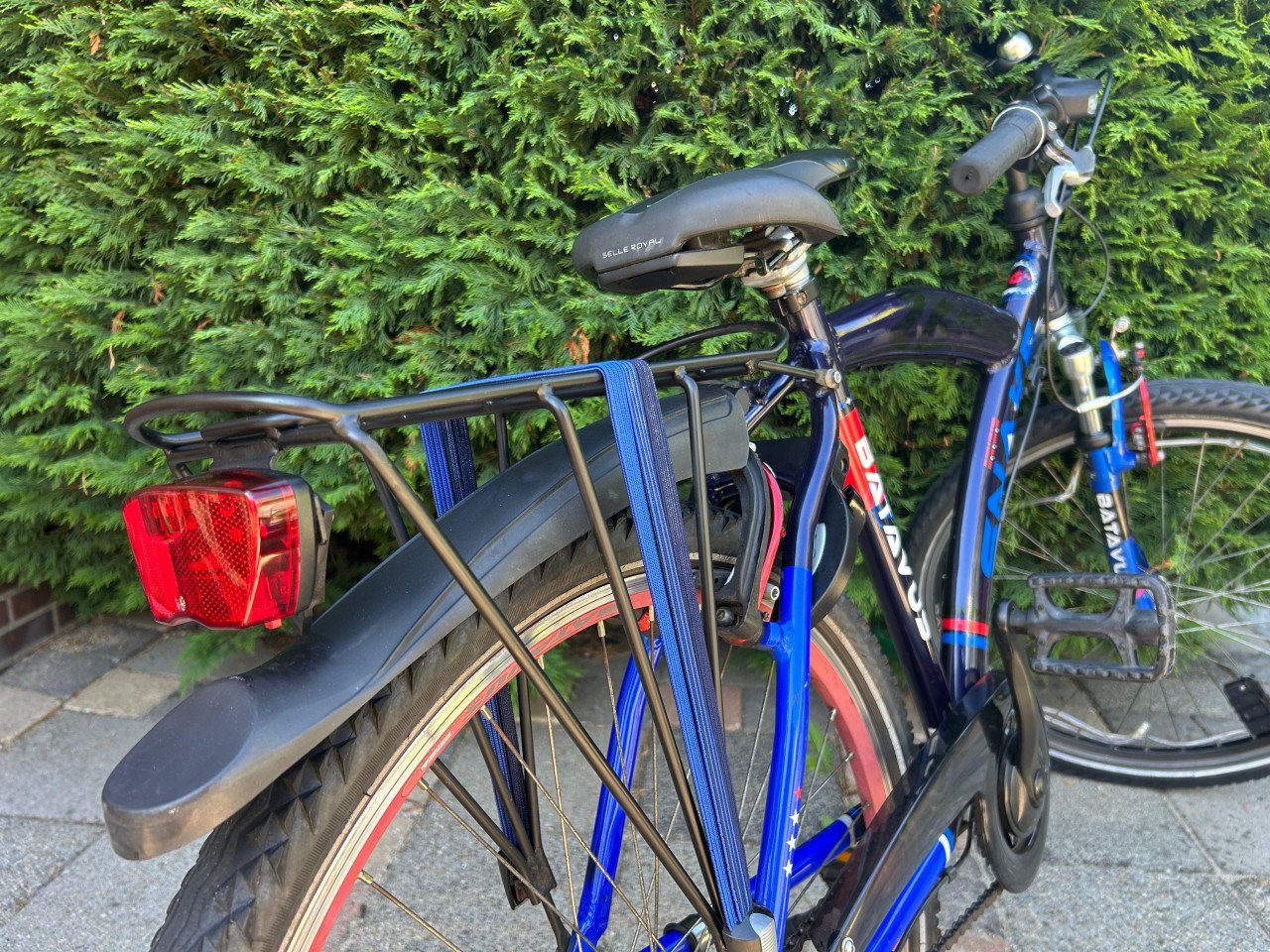 Batavus snake 26inch
